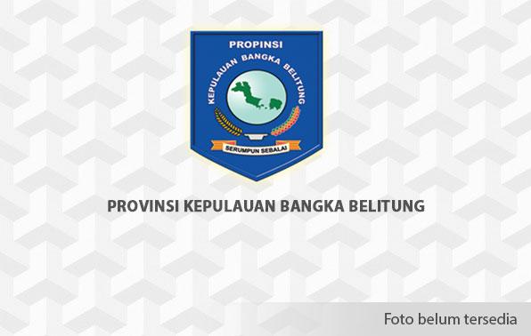 Menkop Akan Kunjungi Babel