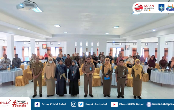 Operator Data UMKM Se Babel Ikuti Sosialisasi Si Dulang Babel