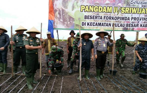 Gubernur Babel Tanam Padi Perdana
