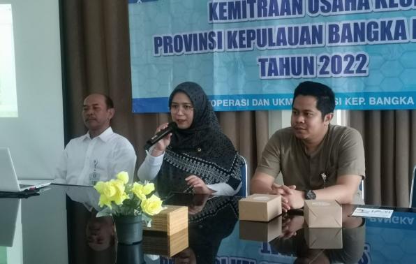 DKUKM Sosialisasi Kemitraan bagi Usaha Kecil Kab Bateng