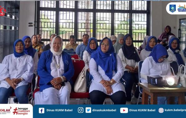 DKUKM Berikan Pelatihan Keuangan Digital dan HAKI bagi Anggota IWAPI Babel