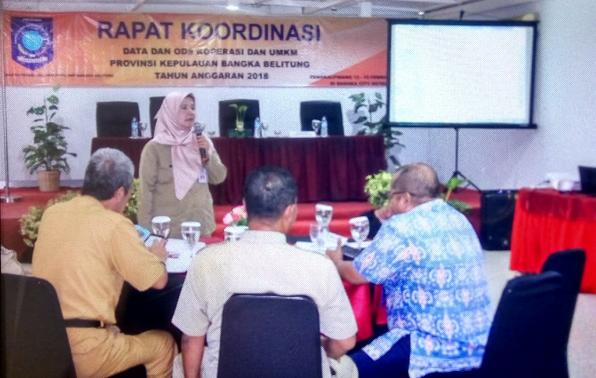 Ingin Hasilkan Peta Dasar Koperasi dan UMKM, Dinas KUKM Gelar Rakor Data dan ODS