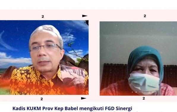 Pemprov Semakin Gencar Kenalkan Digitalisasi Bagi UMKM