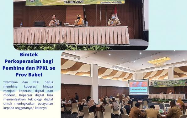PPKL Berperan Wujudkan Koperasi Digital dan Modern di Babel