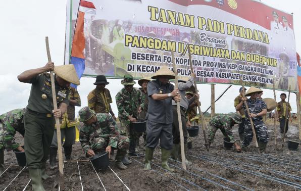Bersama TNI Turun ke Sawah, Gubernur Babel Optimis Ketahanan Pangan Segera Terwujud