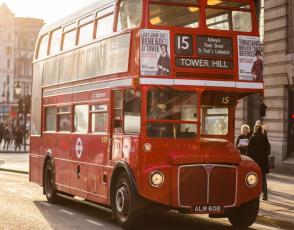 Administrate Empowered Markets Via Plug-And-Play